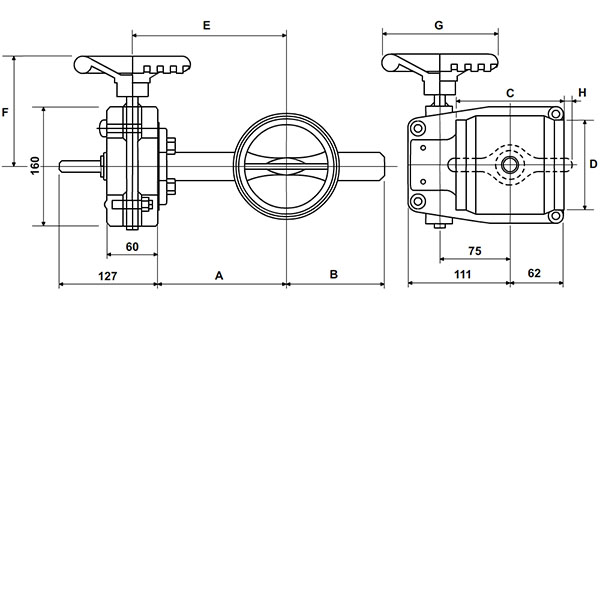 GSFP