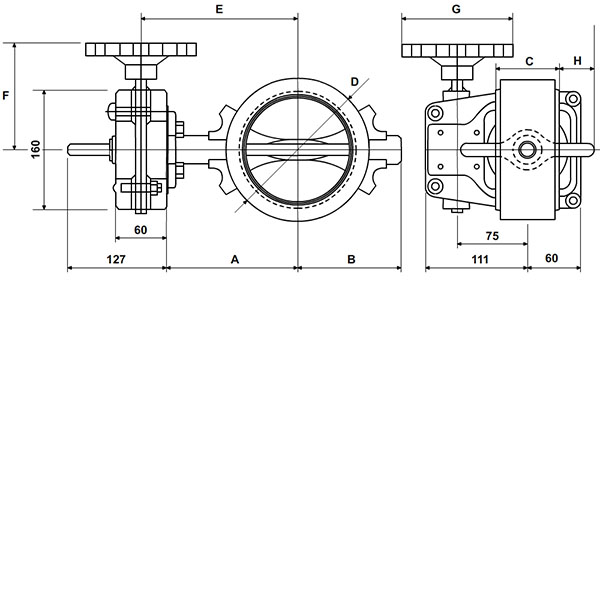 GSFP